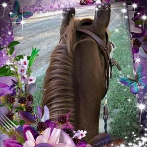 Meet your Posher, Tammy